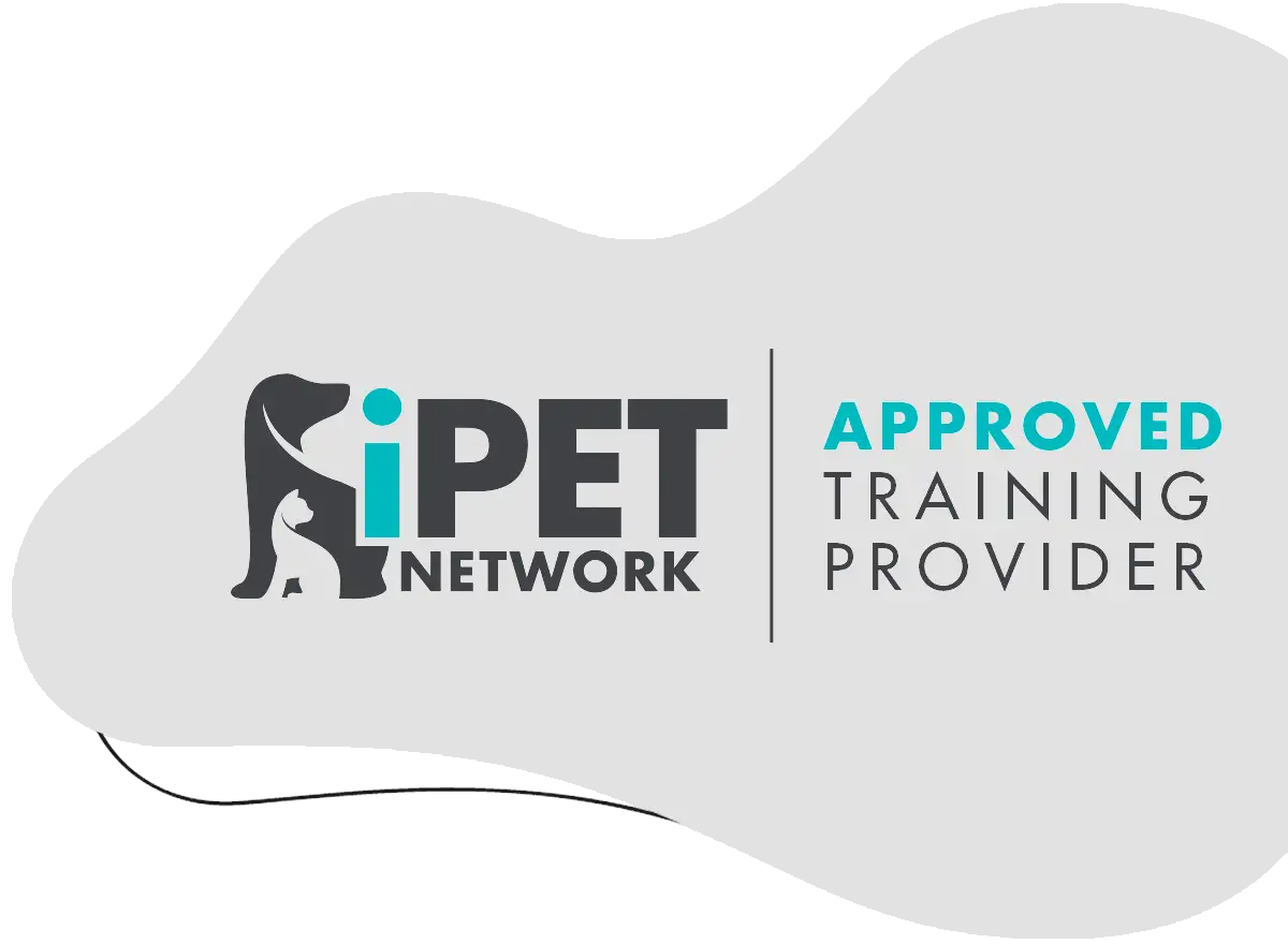 iPET approved trainer in West Sussex